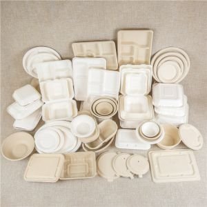 Sugarcane Packaging Products Manufacturer in india
