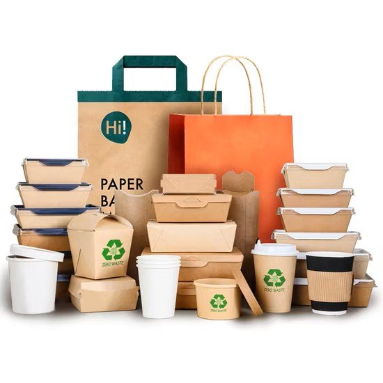 Paper Takeaway Packaging Manufacturer in India